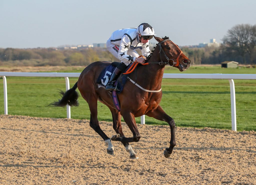 GRANDEE (Ben Sanderson) wins at NEWCASTLE 11/4/19
Photograph by Grossick Racing Photography