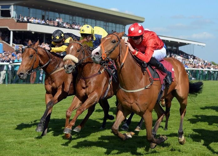 Horse Racing Betting Tips Today