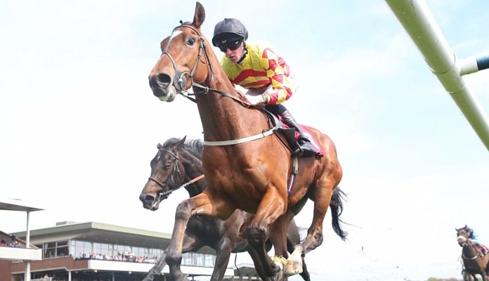 Joey Haynes Jockey 10