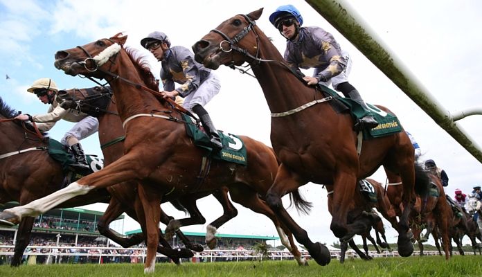 Northumberland Plate Newcastle Betting Preview