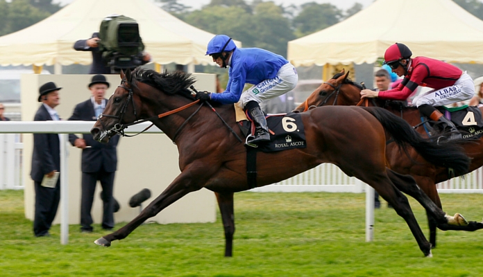Bet on Princess of wales's stakes at RaceBets