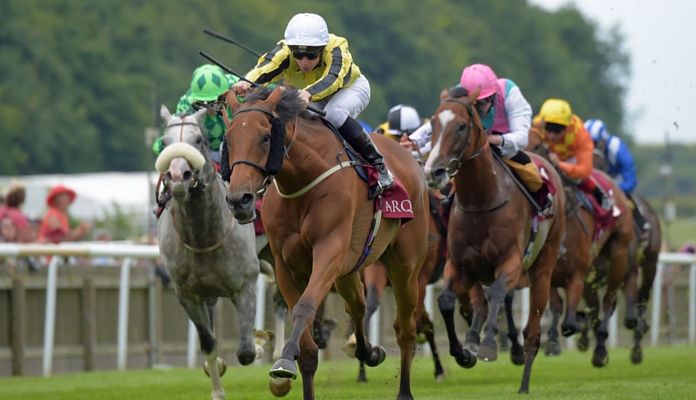Goodwood Cup 2016 betting preview at RaceBets-compressed