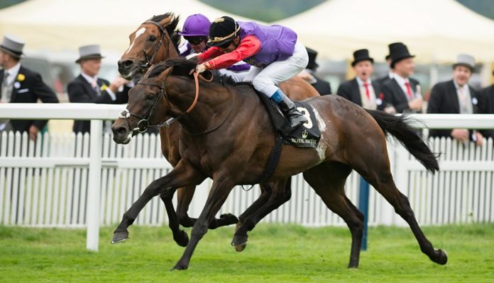 dartmouth favourite for King George VI and Queen Elizabeth Stakes 2016