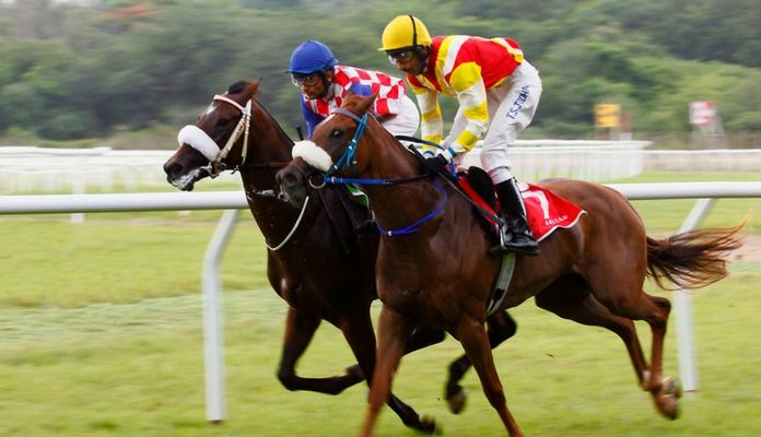 Bet On Horse Racing In India at RaceBets-compressed