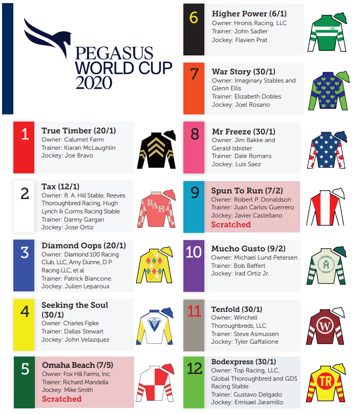 Pegasus World Cup Tipping Guide RaceBets Blog