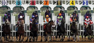 Wager Guide for Kentucky Derby