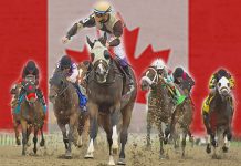 Century Downs Horse Racing Betting