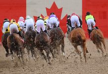 Woodbine Raceway horse racing betting